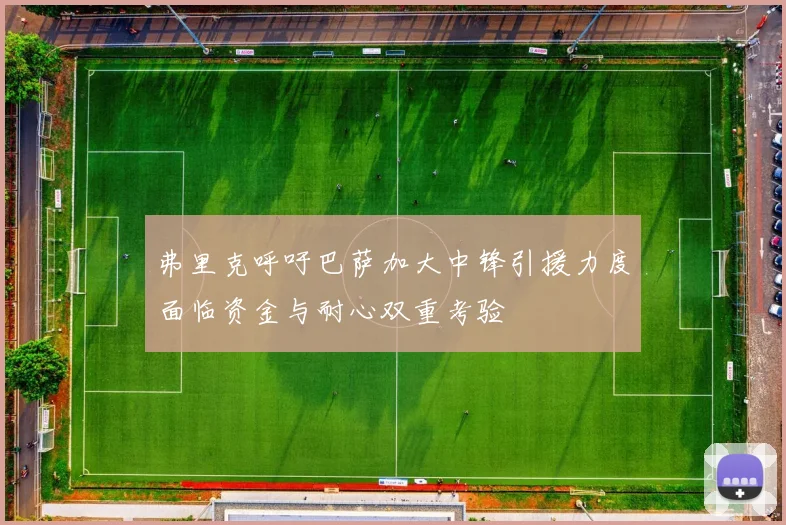 弗里克呼吁巴萨加大中锋引援力度面临资金与耐心双重考验